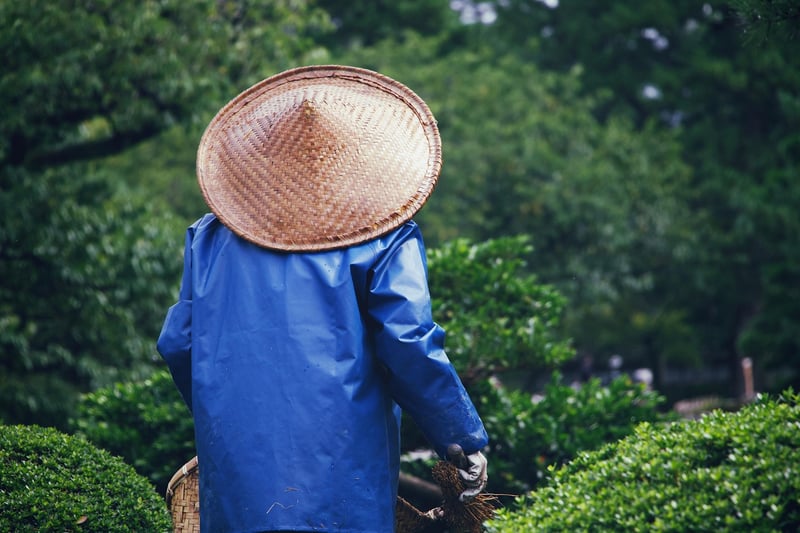 Wizardly gardening